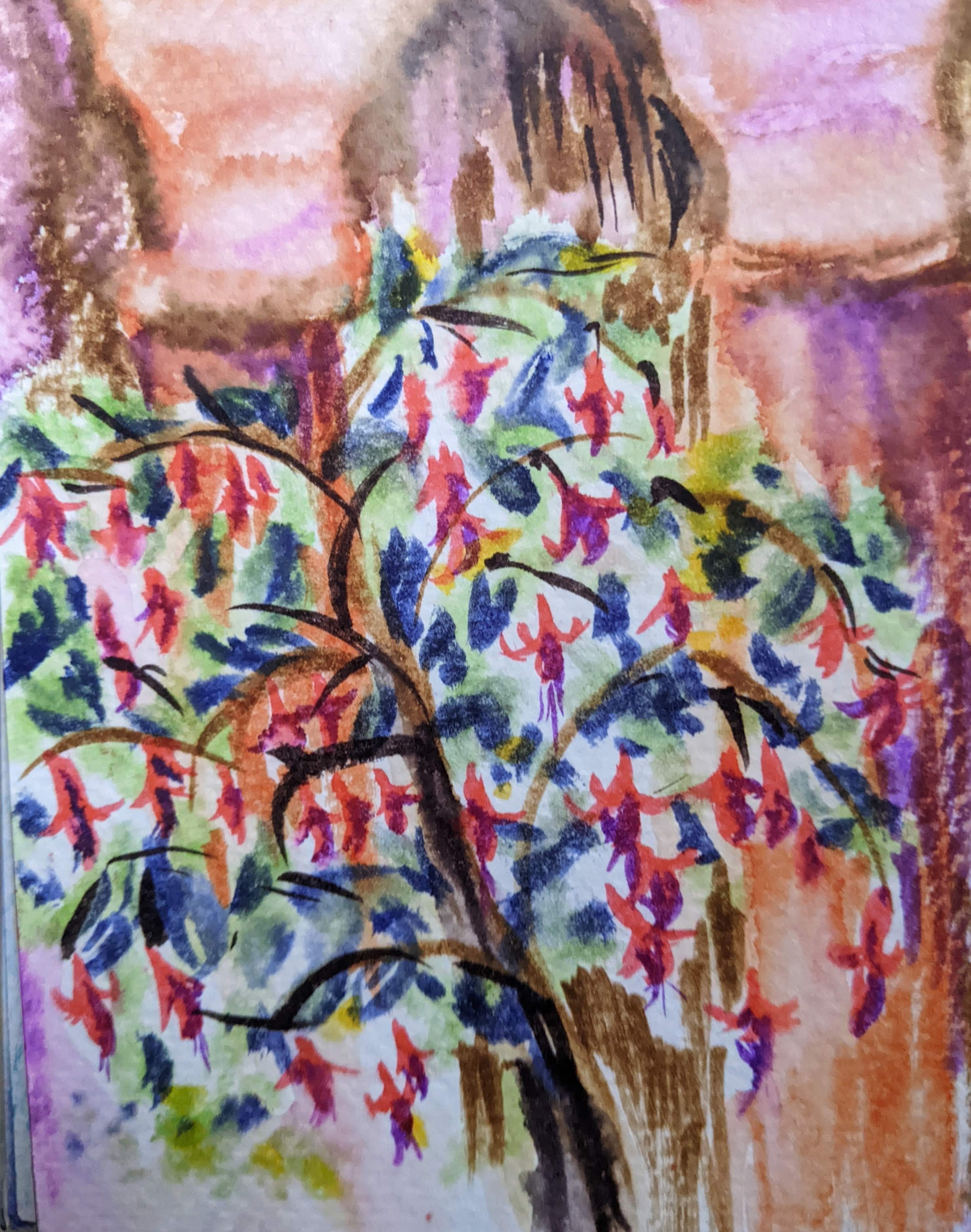Fuchsia tree